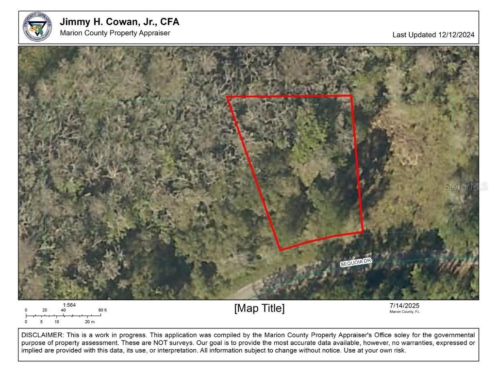 Sequoia Drive Ocklawaha FL 32179 OM705464 image2