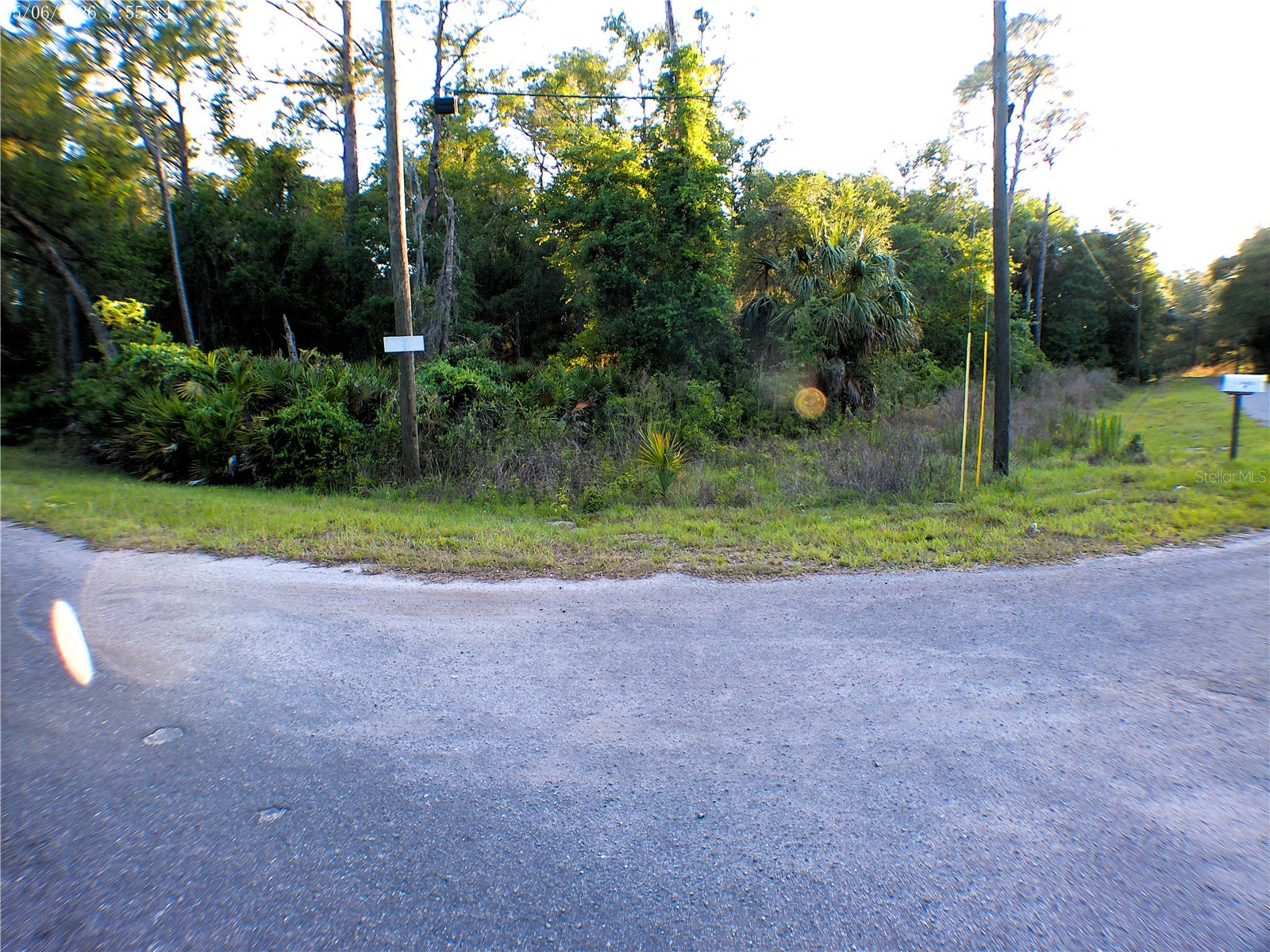 Sequoia Drive Ocklawaha FL 32179 OM724345 image1