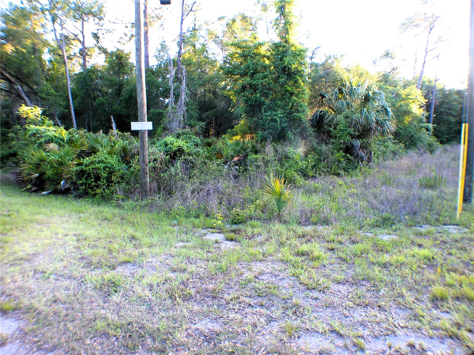 Sequoia Drive Ocklawaha FL 32179 OM724345 image2