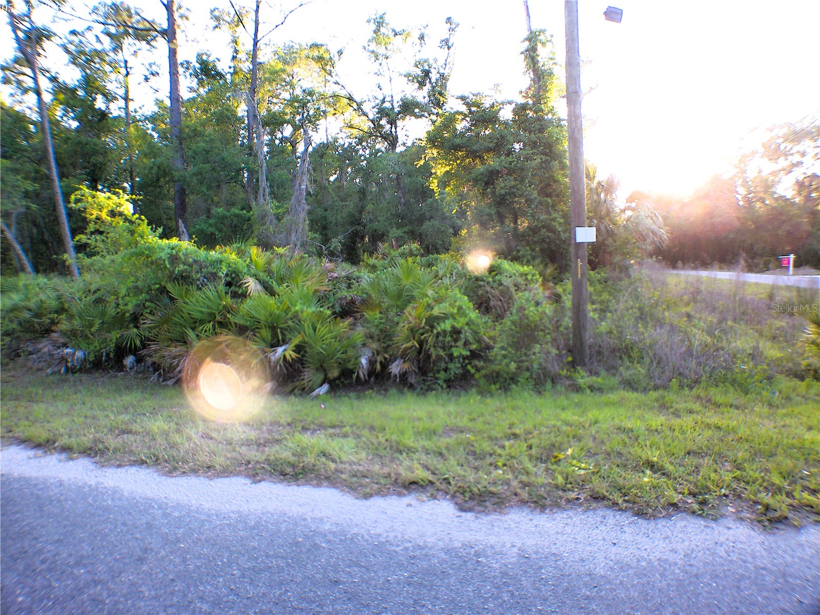 Sequoia Drive Ocklawaha FL 32179 OM724345 image3