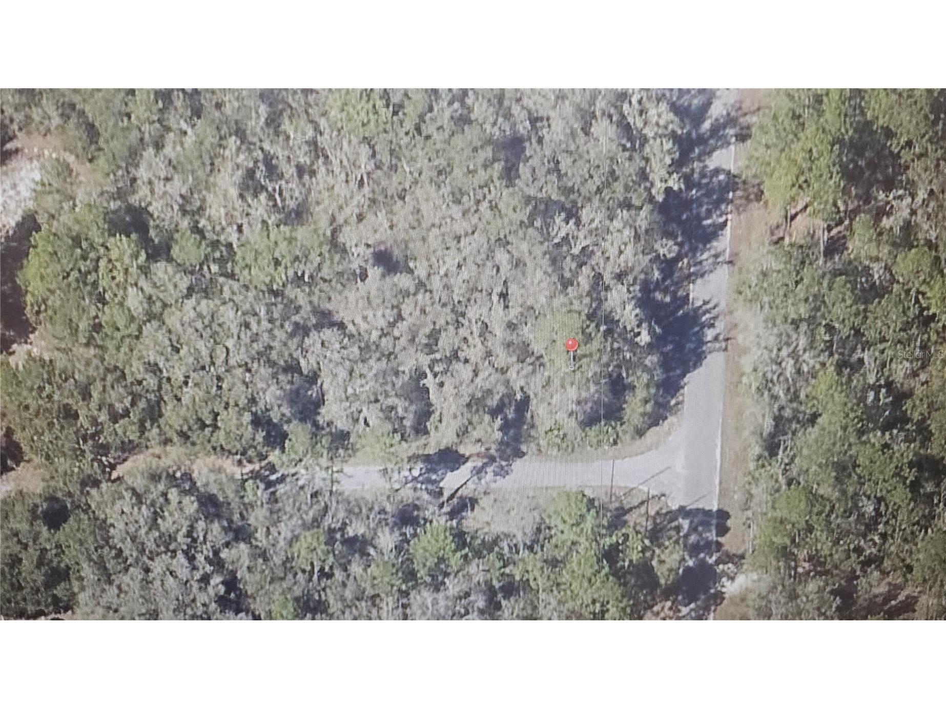Sequoia Drive Ocklawaha FL 32179 OM724345 image4