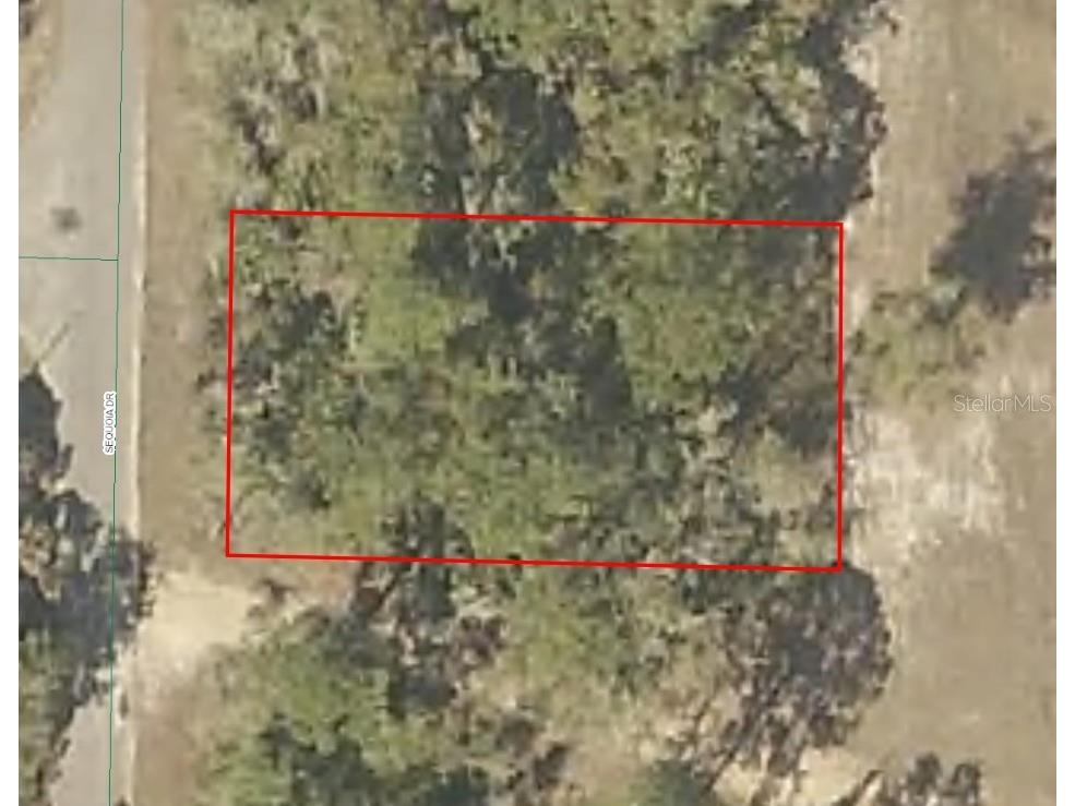 Sequoia Drive Ocklawaha FL 32179 S5129413 image1