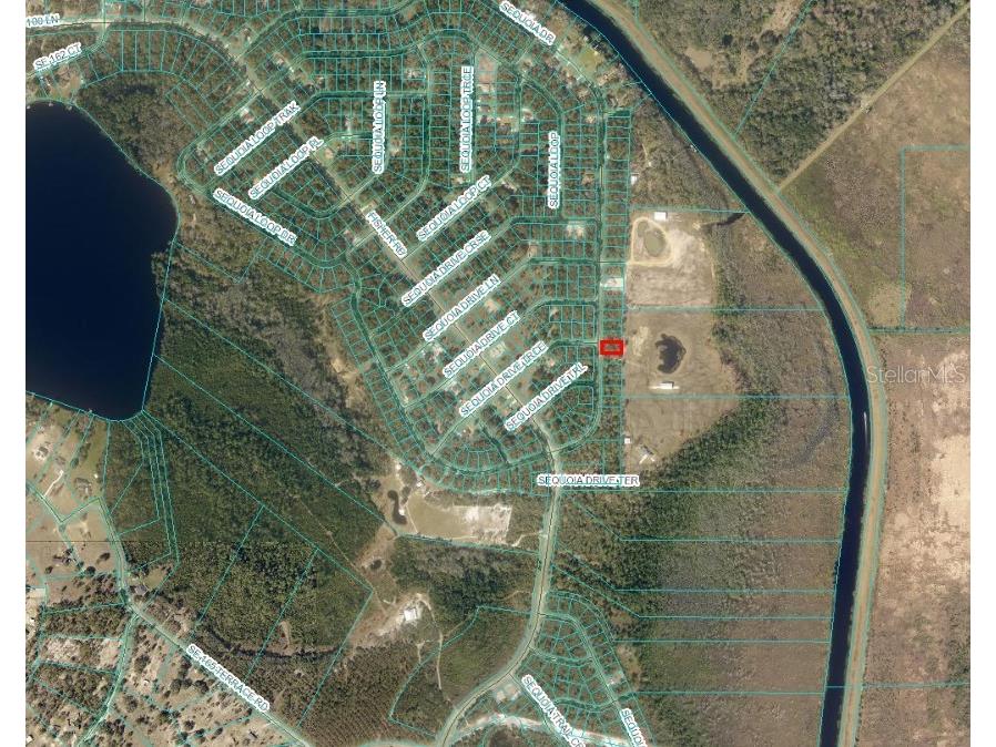 Sequoia Drive Ocklawaha FL 32179 S5129413 image3