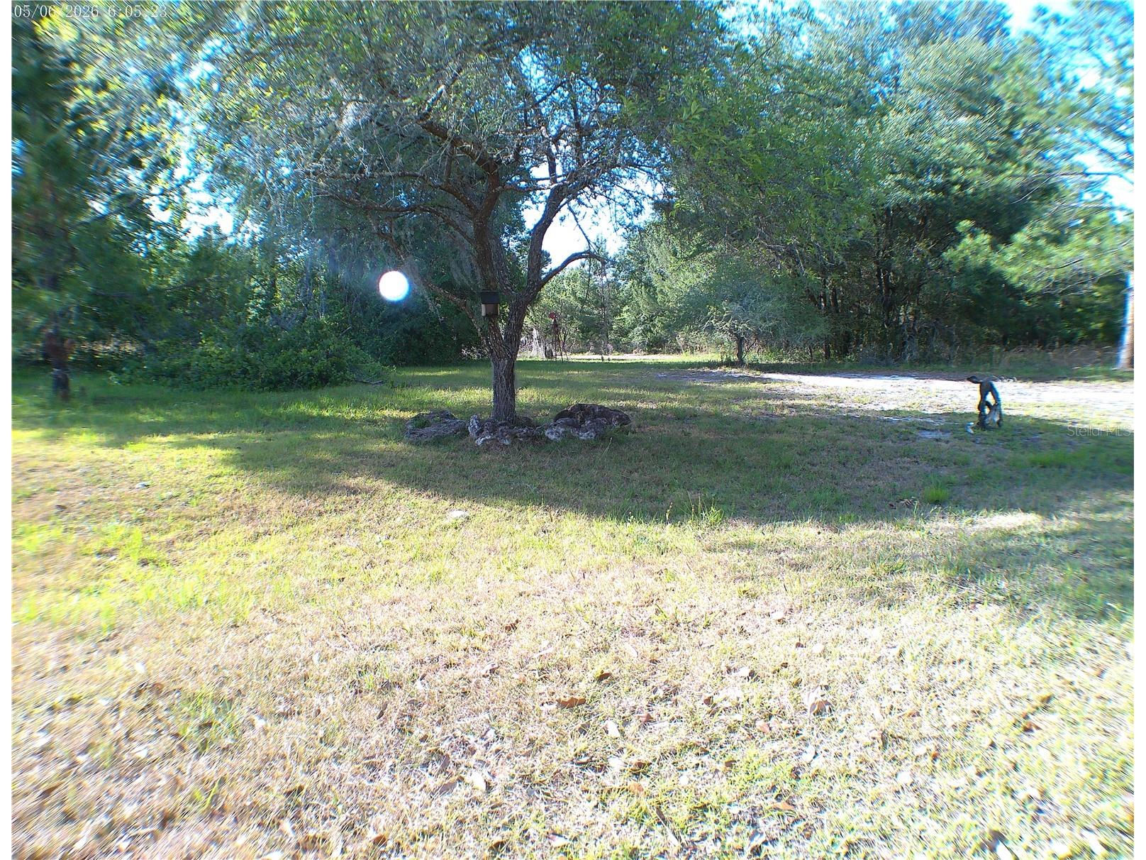 Sequoia Drive Trace Ocklawaha FL 32179 OM724061 image1