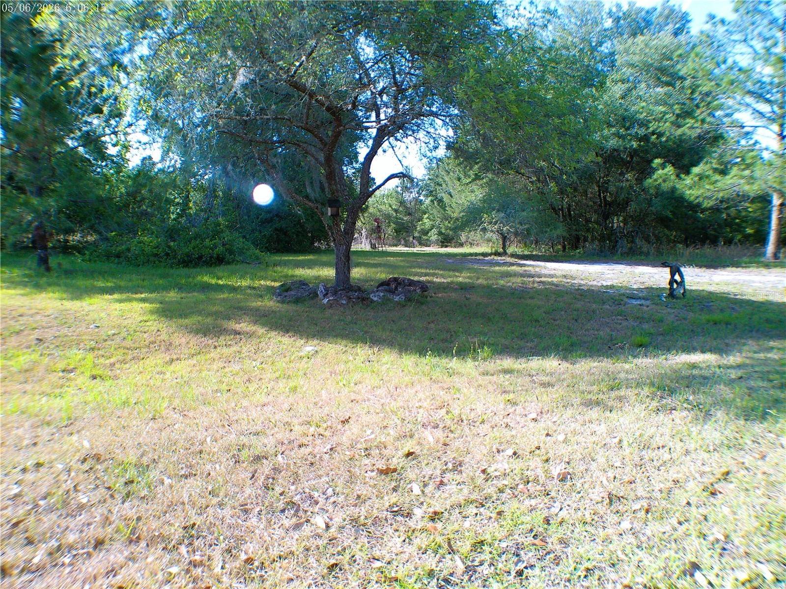 Sequoia Drive Trace Ocklawaha FL 32179 OM724061 image2