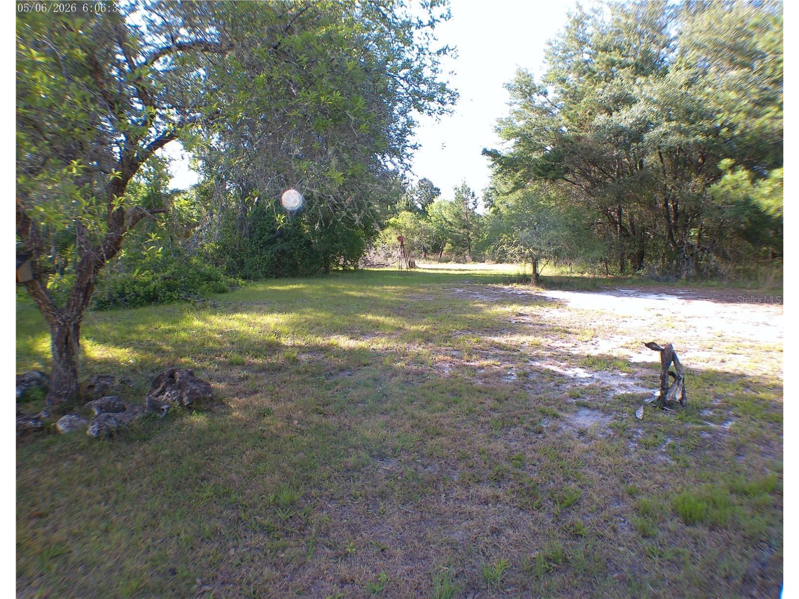 Sequoia Drive Trace Ocklawaha FL 32179 OM724061 image3