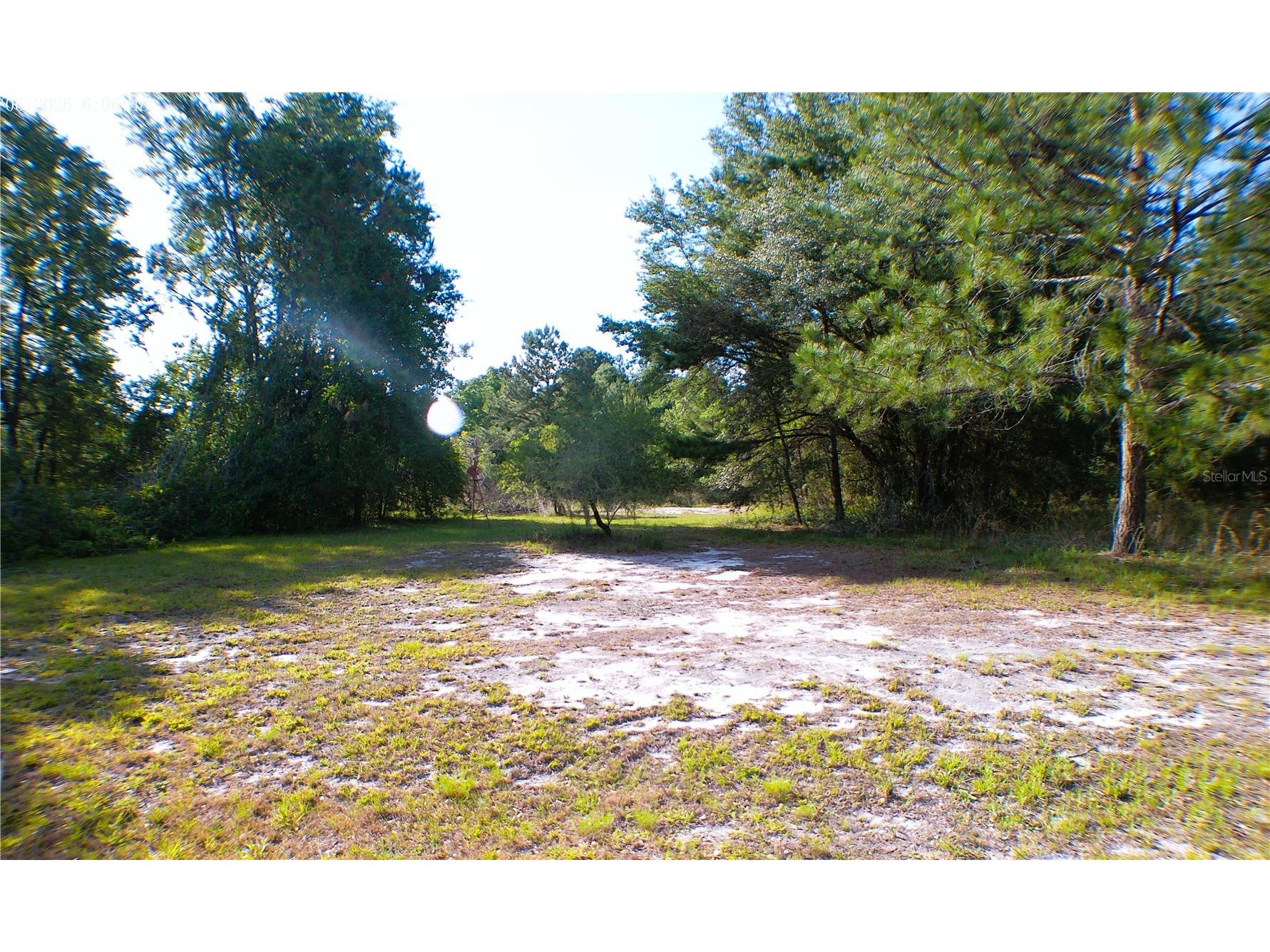 Sequoia Drive Trace Ocklawaha FL 32179 OM724061 image4