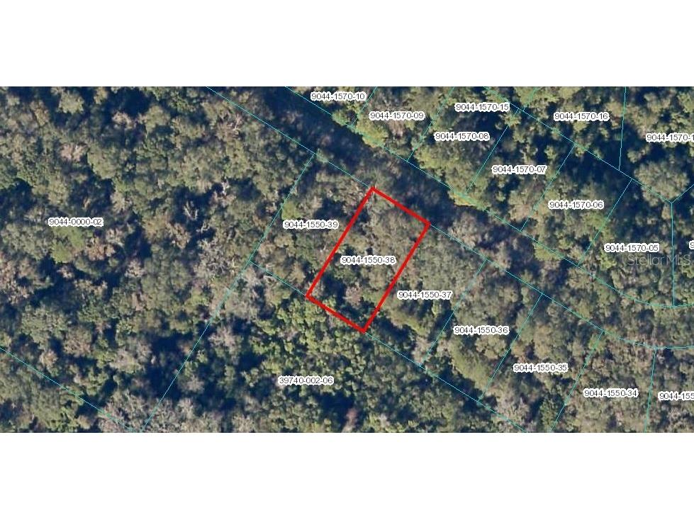 Sequoia Loop Drive Ocklawaha FL 32179 A4556702 image1