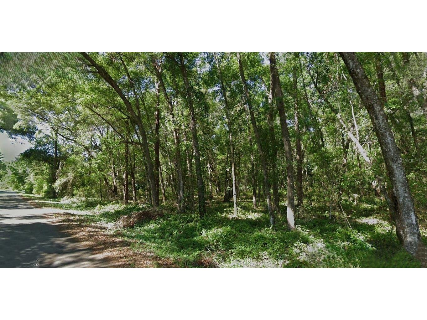 Sequoia Loop Trace Ocklawaha FL 32179 O6343209 image1