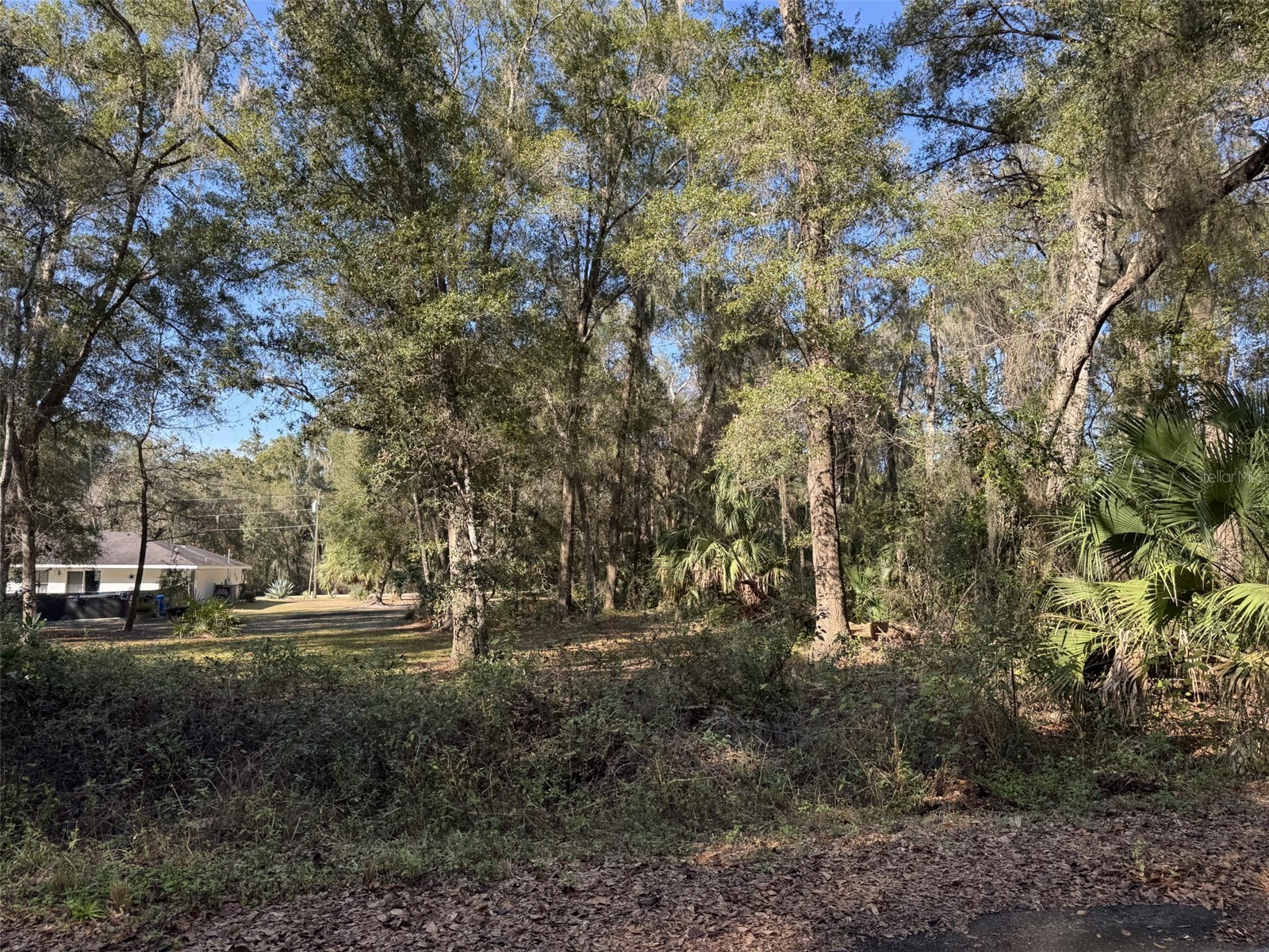 Sequoia Loop Track Ocklawaha FL 32179 OM717478 image1