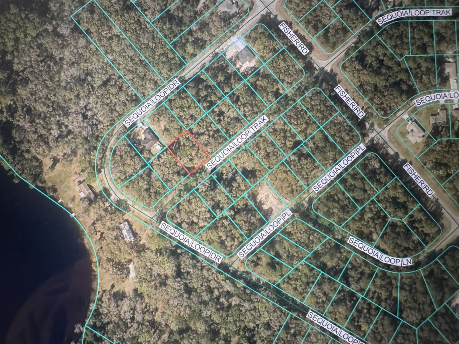 Sequoia Loop Track Ocklawaha FL 32179 OM717478 image2