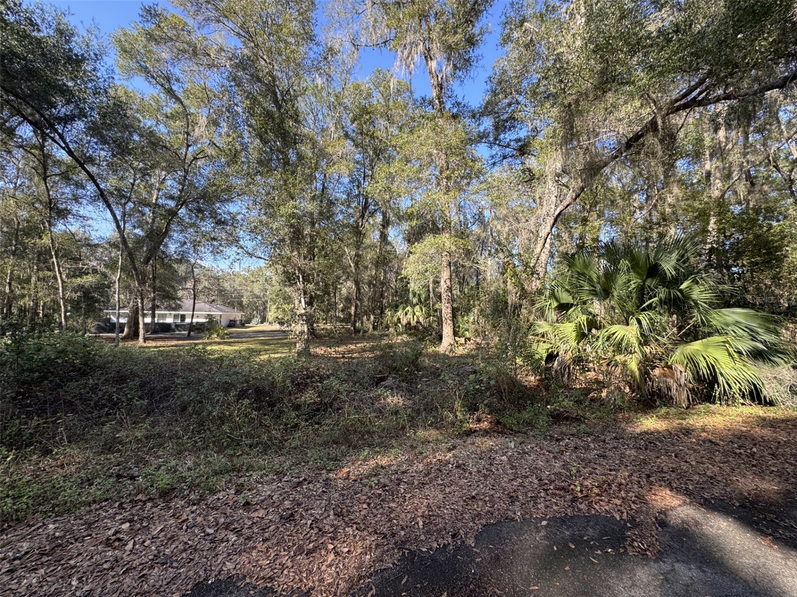 Sequoia Loop Track Ocklawaha FL 32179 OM717478 image4