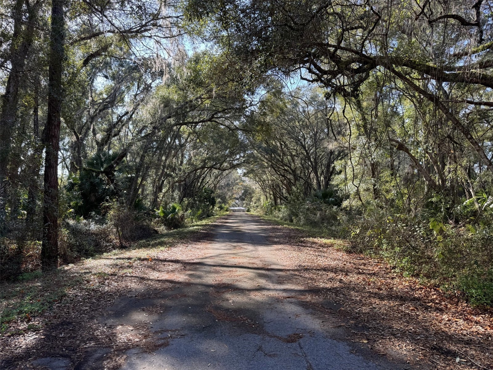 Sequoia Loop Track Ocklawaha FL 32179 OM717478 image6