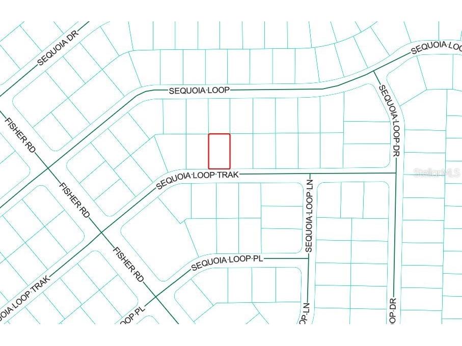 Sequoia Loop Track Ocklawaha FL 32179 OM718544 image1