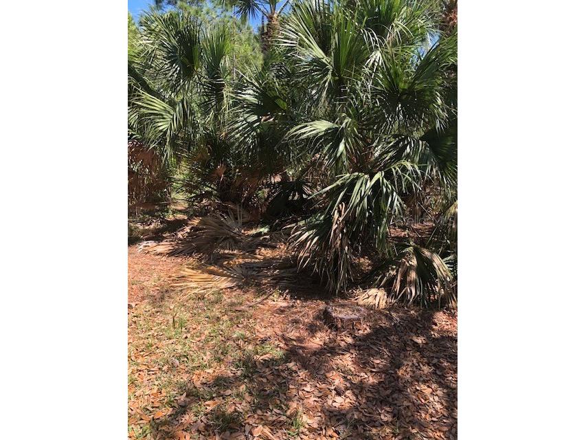 Sernice Street North Port FL 34288 A4580433 image1