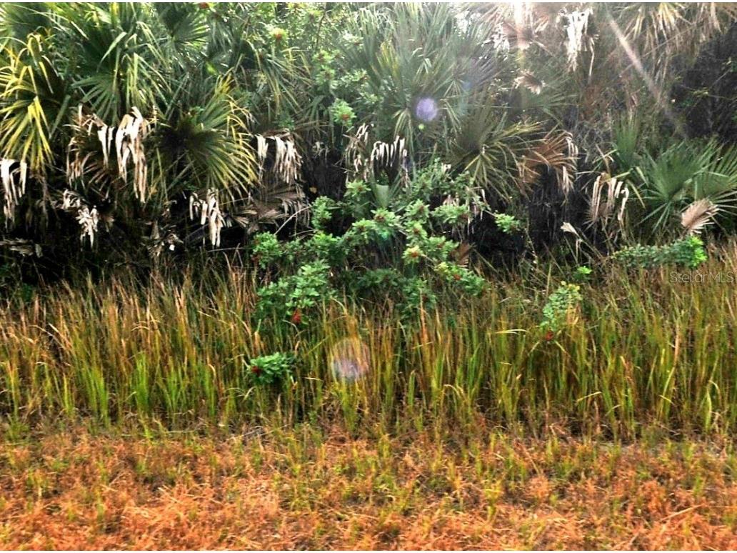 Sernice Street North Port FL 34288 O6338859 image1