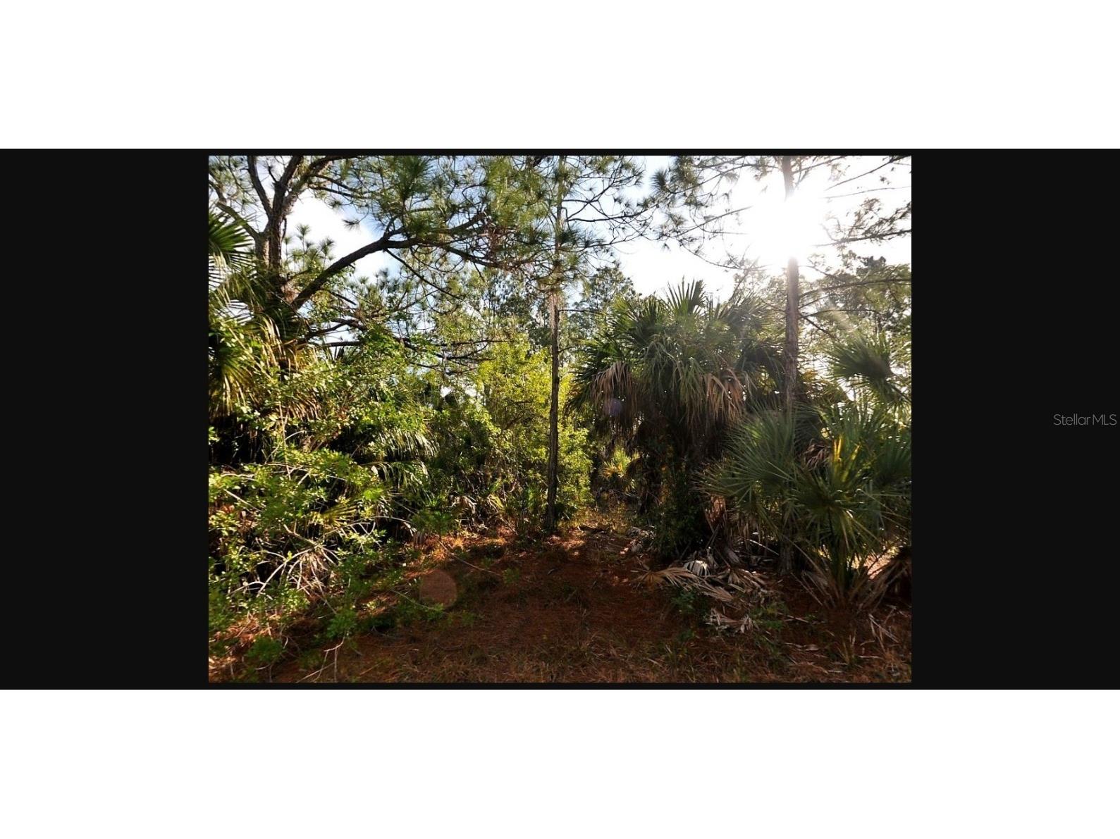 Sernice Street North Port FL 34288 TB8395483 image2