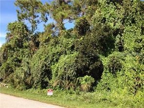 Sesame Street North Port FL 34287 C7448720 image1