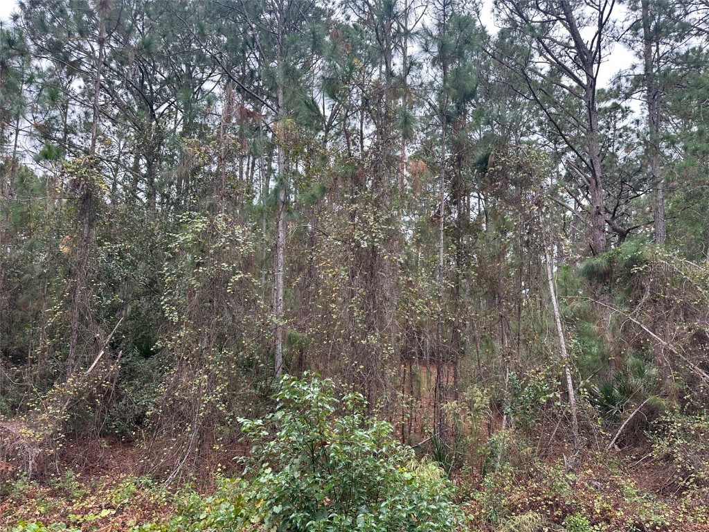 Settlers Loop Geneva FL 32732 O6364363 image11