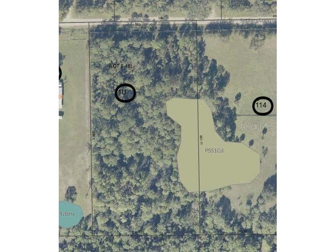 Settlers Loop Geneva FL 32732 O6364363 image13