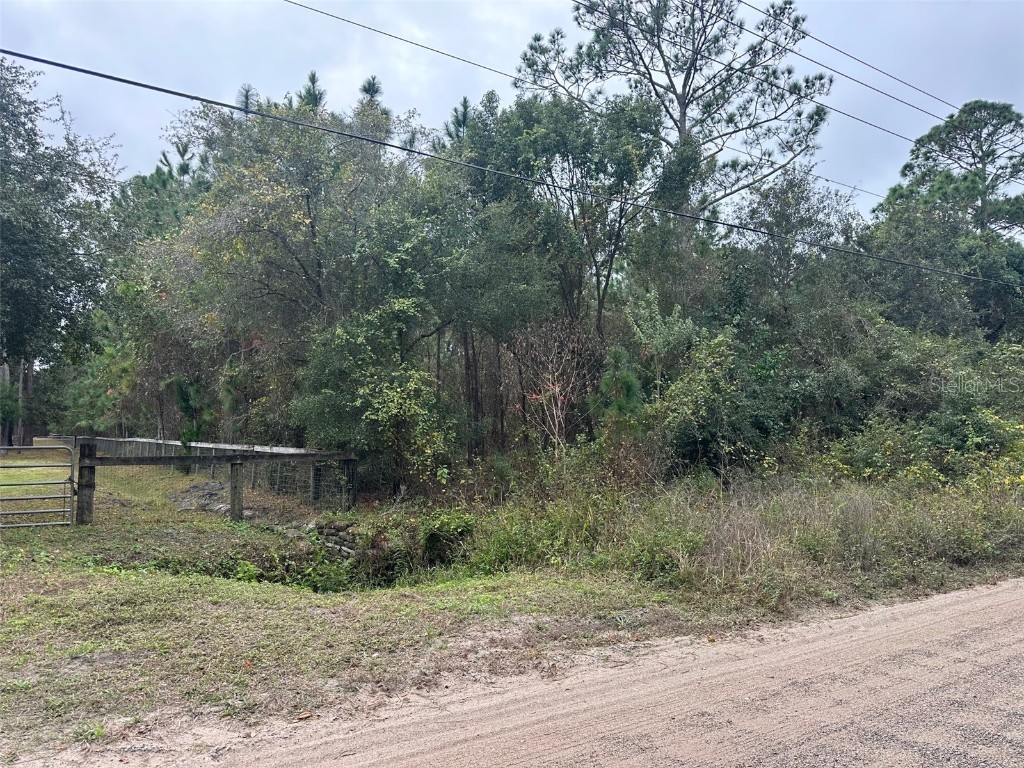 Settlers Loop Geneva FL 32732 O6364363 image2