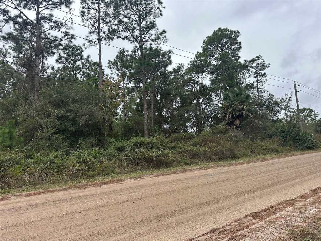 Settlers Loop Geneva FL 32732 O6364363 image5