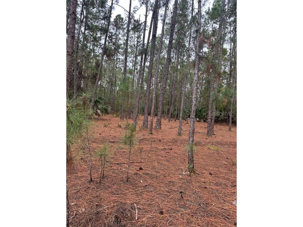 Settlers Loop Geneva FL 32732 O6364363 image6