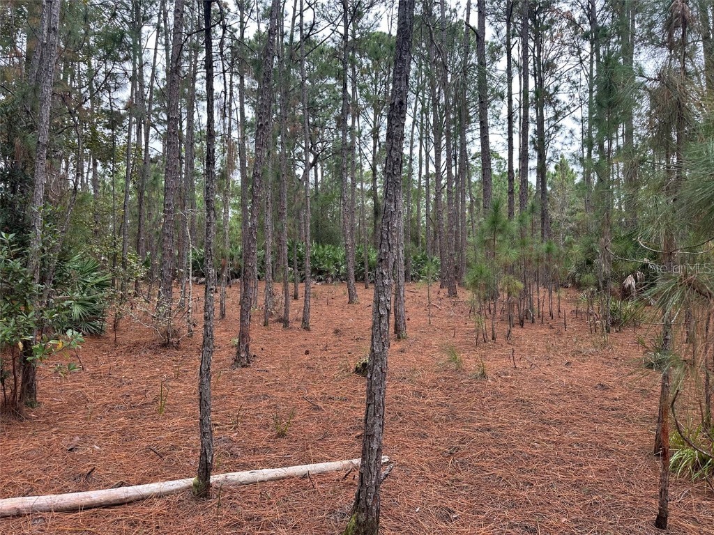 Settlers Loop Geneva FL 32732 O6364363 image7