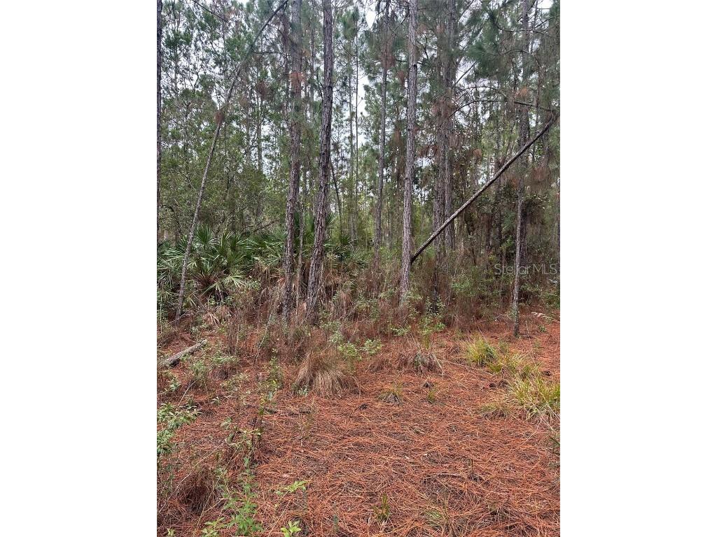 Settlers Loop Geneva FL 32732 O6364363 image8