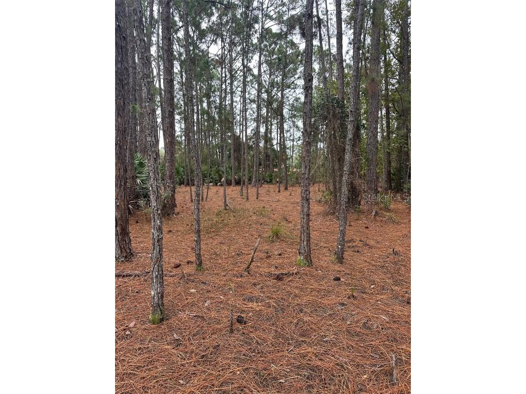 Settlers Loop Geneva FL 32732 O6364363 image9