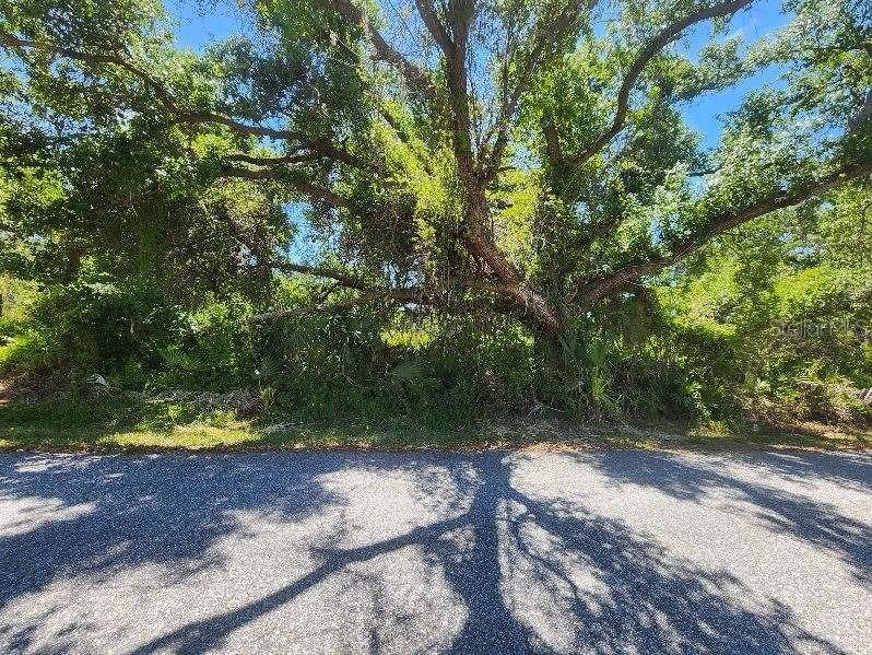 Sevilla Street North Port FL 34287 A4656285 image1