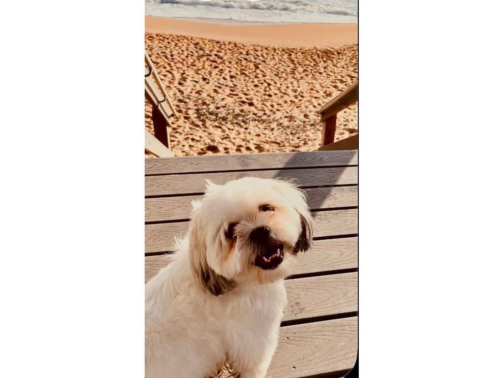 Sflagler Flagler Beach FL 32136 FC312323 image20