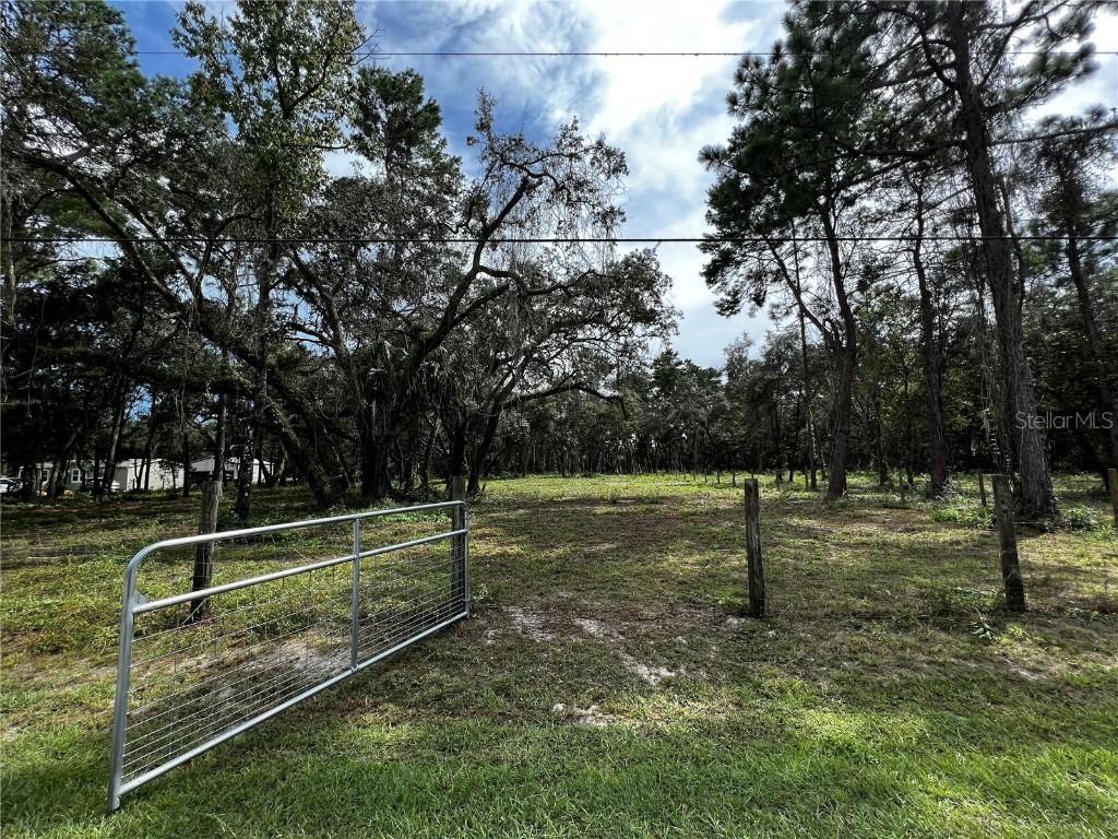 Shady Drive Hudson FL 34669 W7855175 image1