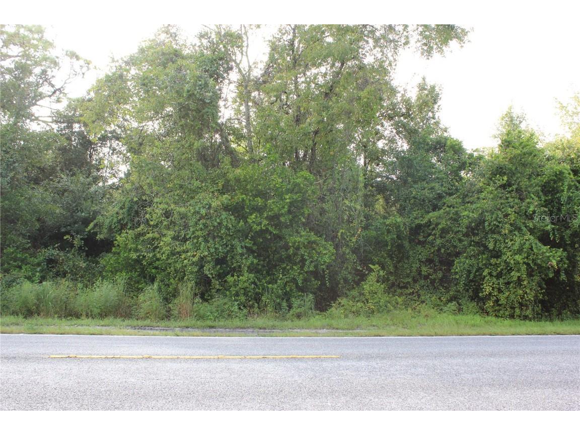 Shady Hills Road Spring Hill FL 34610 W7837590 image1