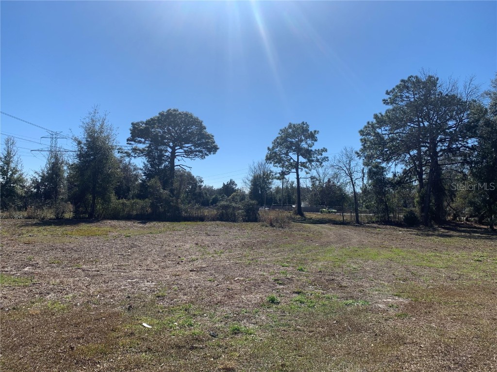 Shady Hills Spring Hill FL 34610 T3425664 image1