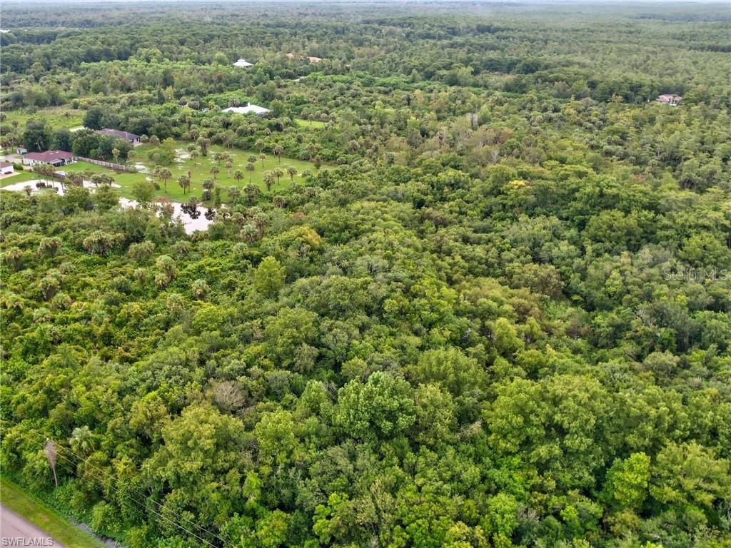 Shady Hollow Boulevard E Naples FL 34120 A4693712 image4