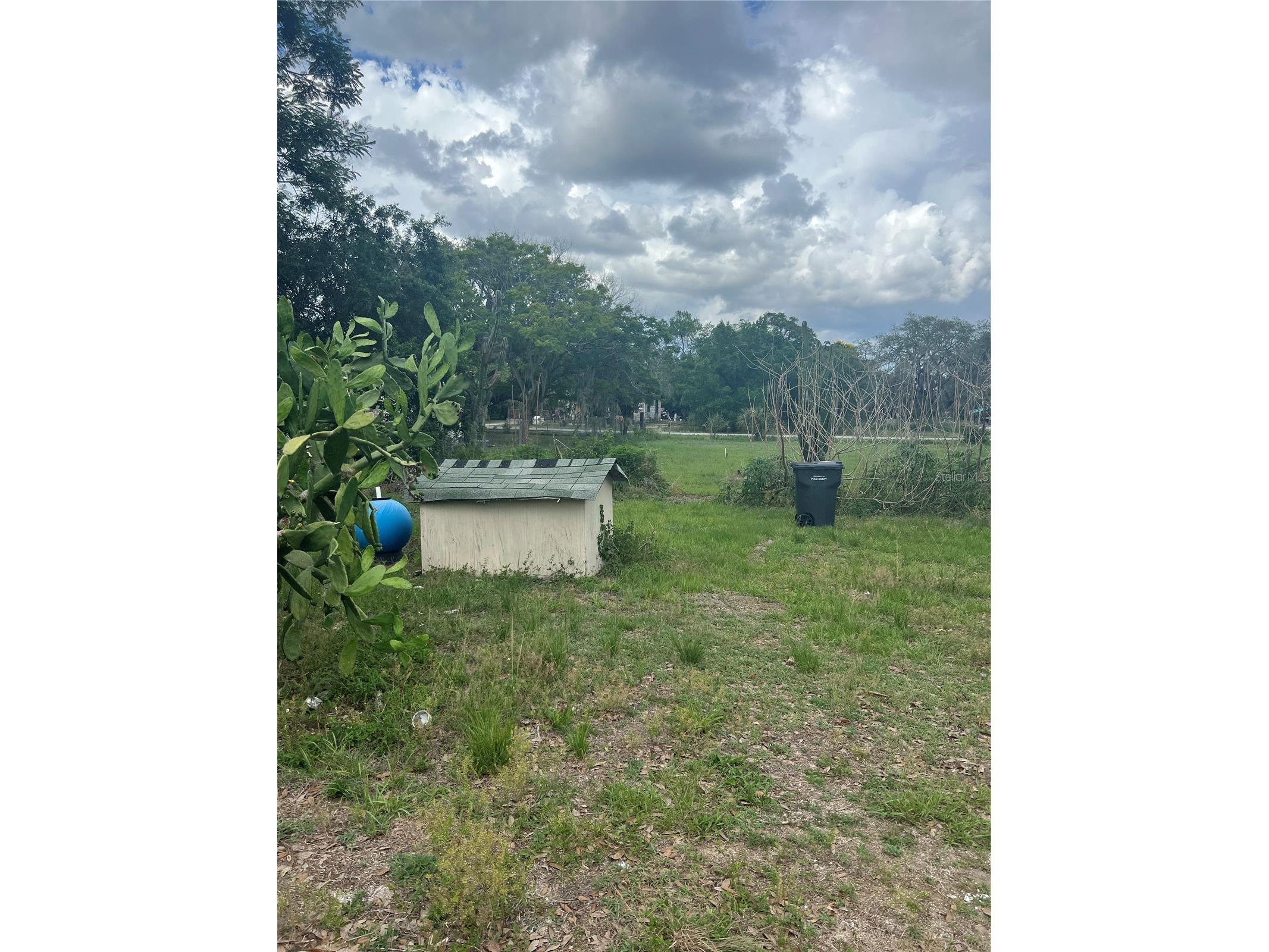 Shady Oak Avenue Lake Wales FL 33898 O6411685 image2