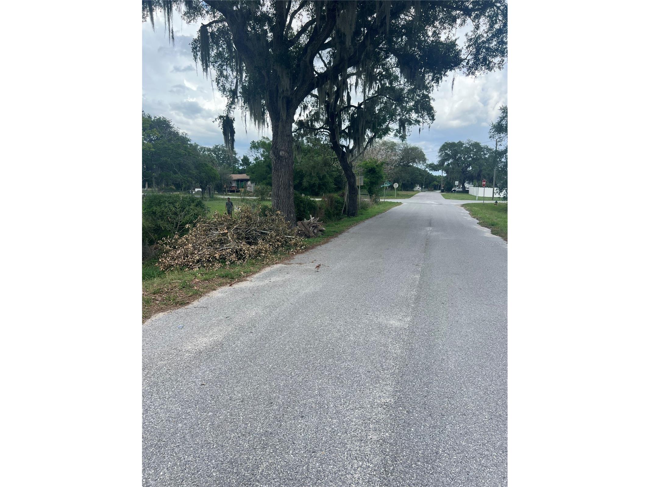 Shady Oak Avenue Lake Wales FL 33898 O6411685 image3