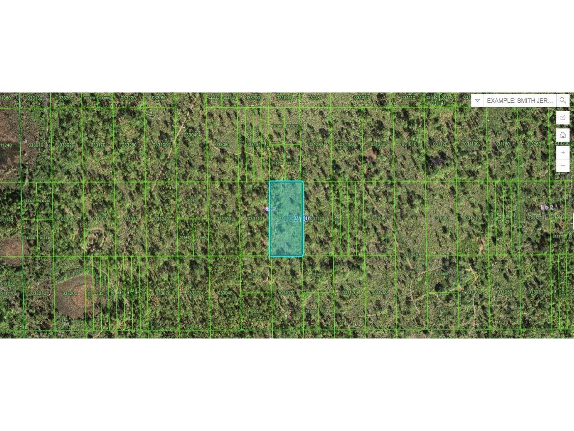 Shady Oaks Dr Lake Wales FL 33898 O6266568 image1