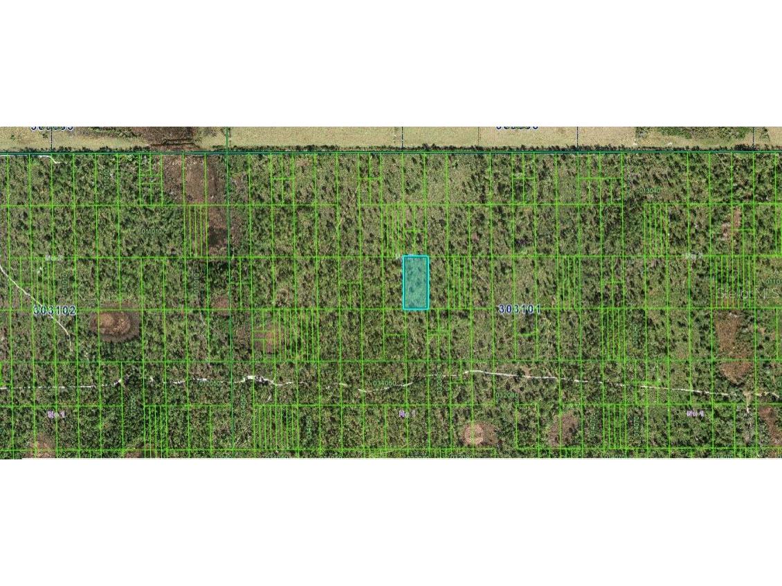 Shady Oaks Dr Lake Wales FL 33898 O6266568 image3