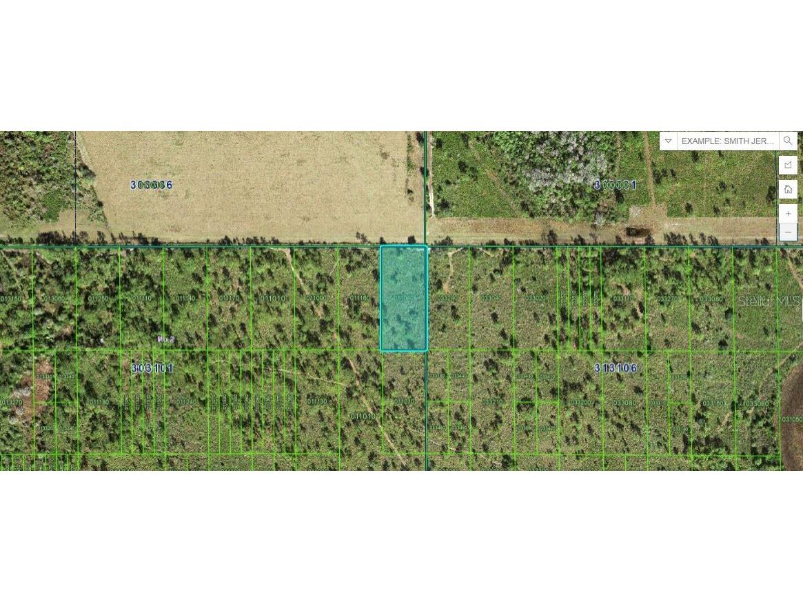 Shady Oaks Dr Lake Wales FL 33898 O6266570 image1