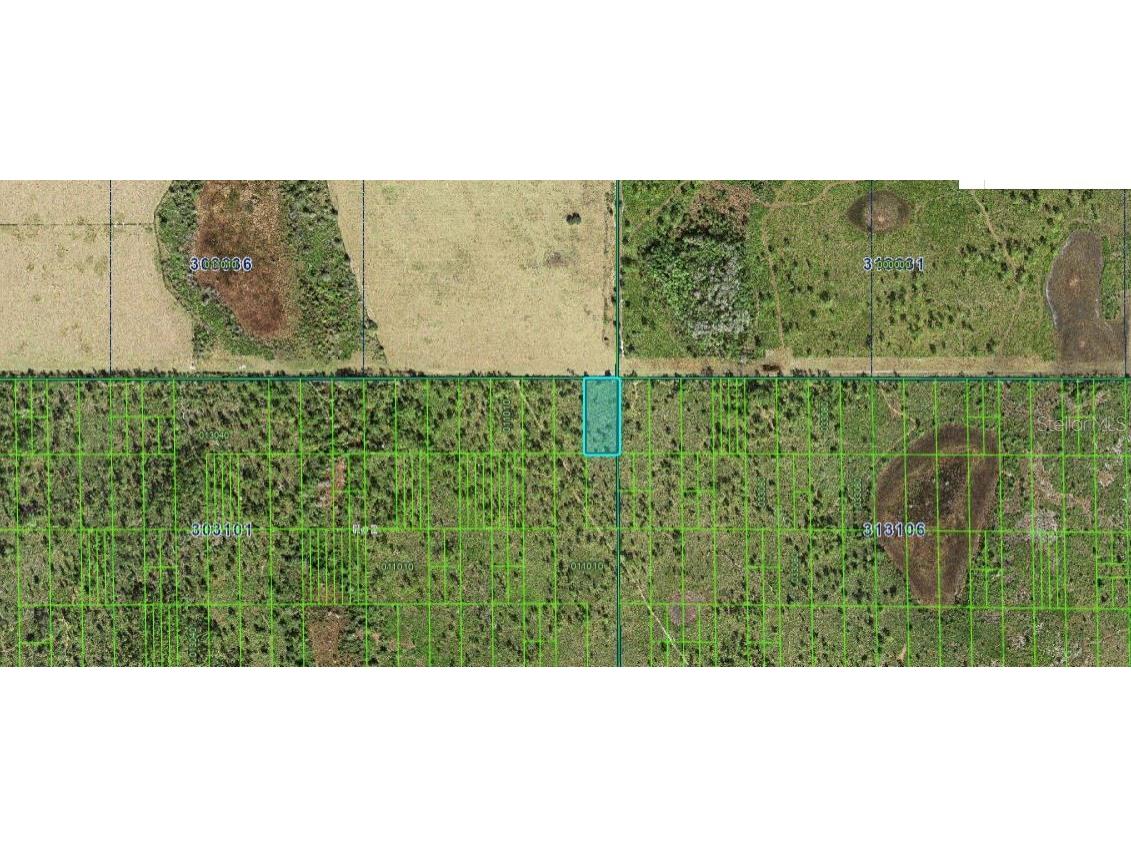 Shady Oaks Dr Lake Wales FL 33898 O6266570 image3