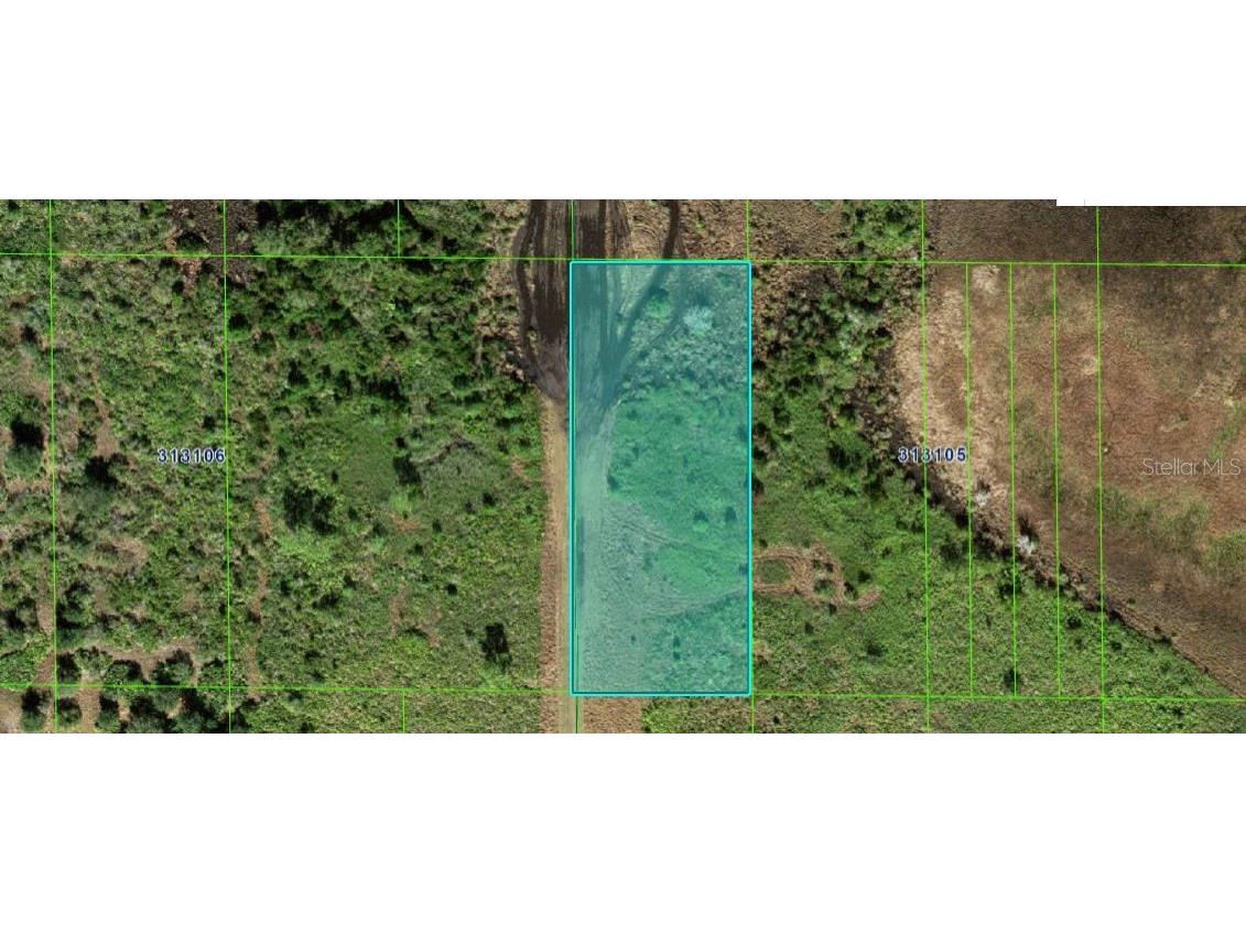 Shady Oaks Dr Lake Wales FL 33898 O6267587 image4