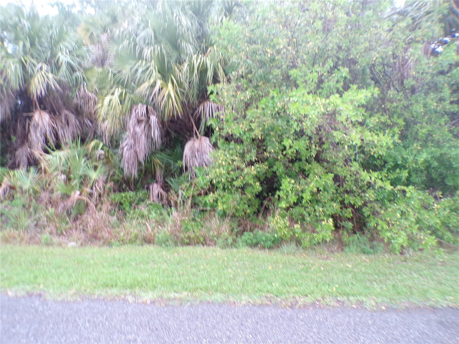 Shalimar Terrace North Port FL 34286 C7526165 image1