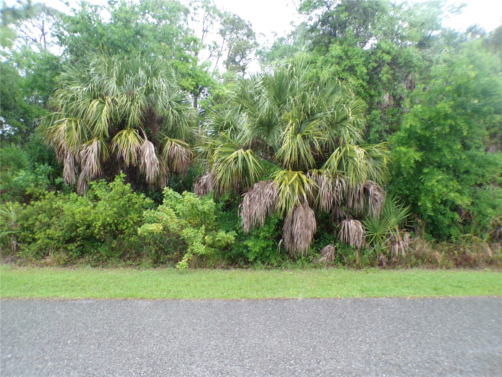 Shalimar Terrace North Port FL 34286 C7526165 image2