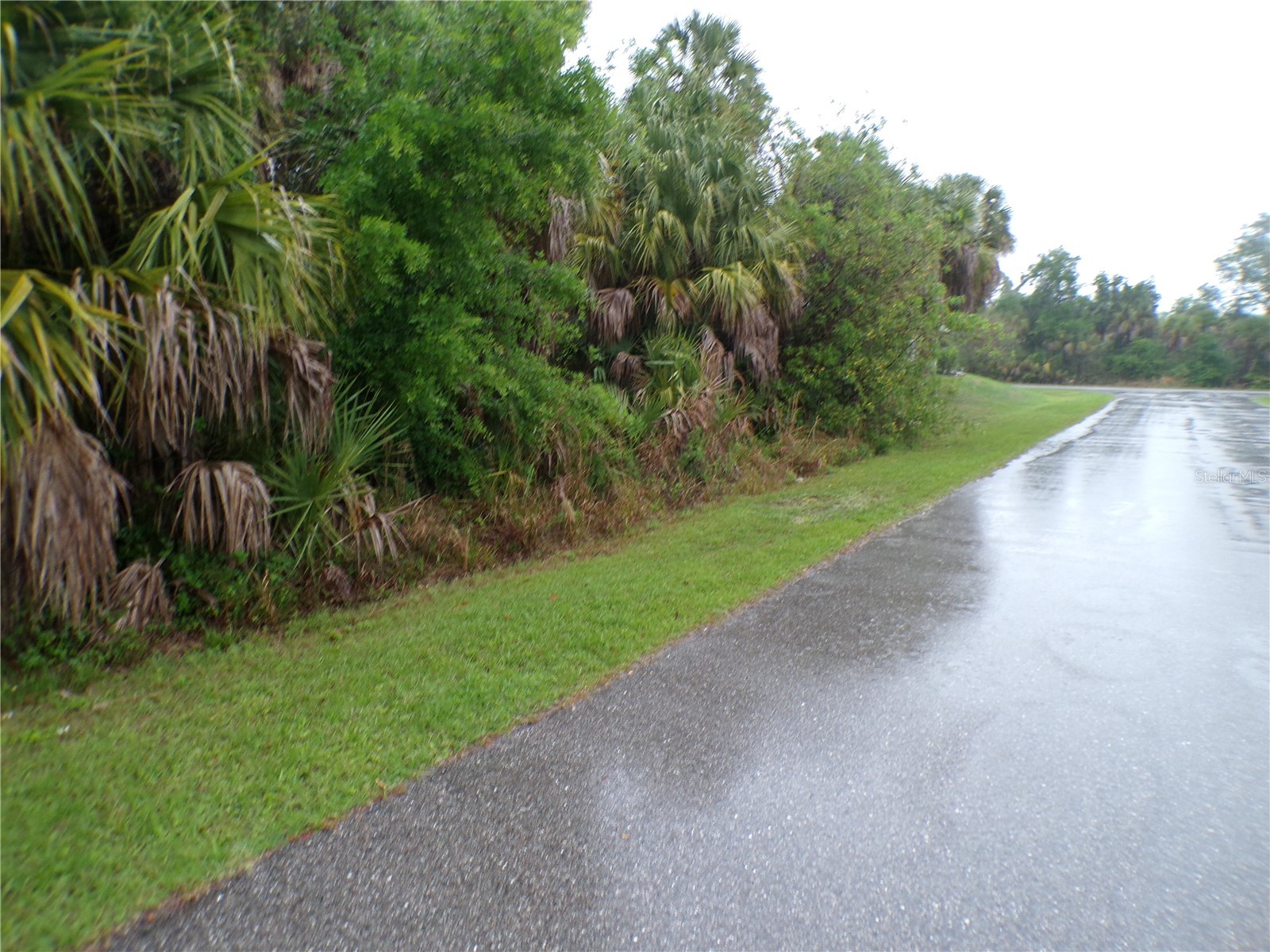 Shalimar Terrace North Port FL 34286 C7526165 image4