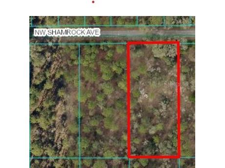Shamrock Avenue Dunnellon FL 34431 T3541976 image1
