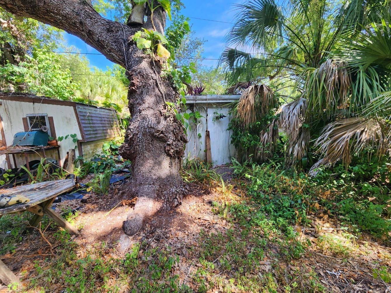 Shamrock Drive Venice FL 34293 N6144819 image11