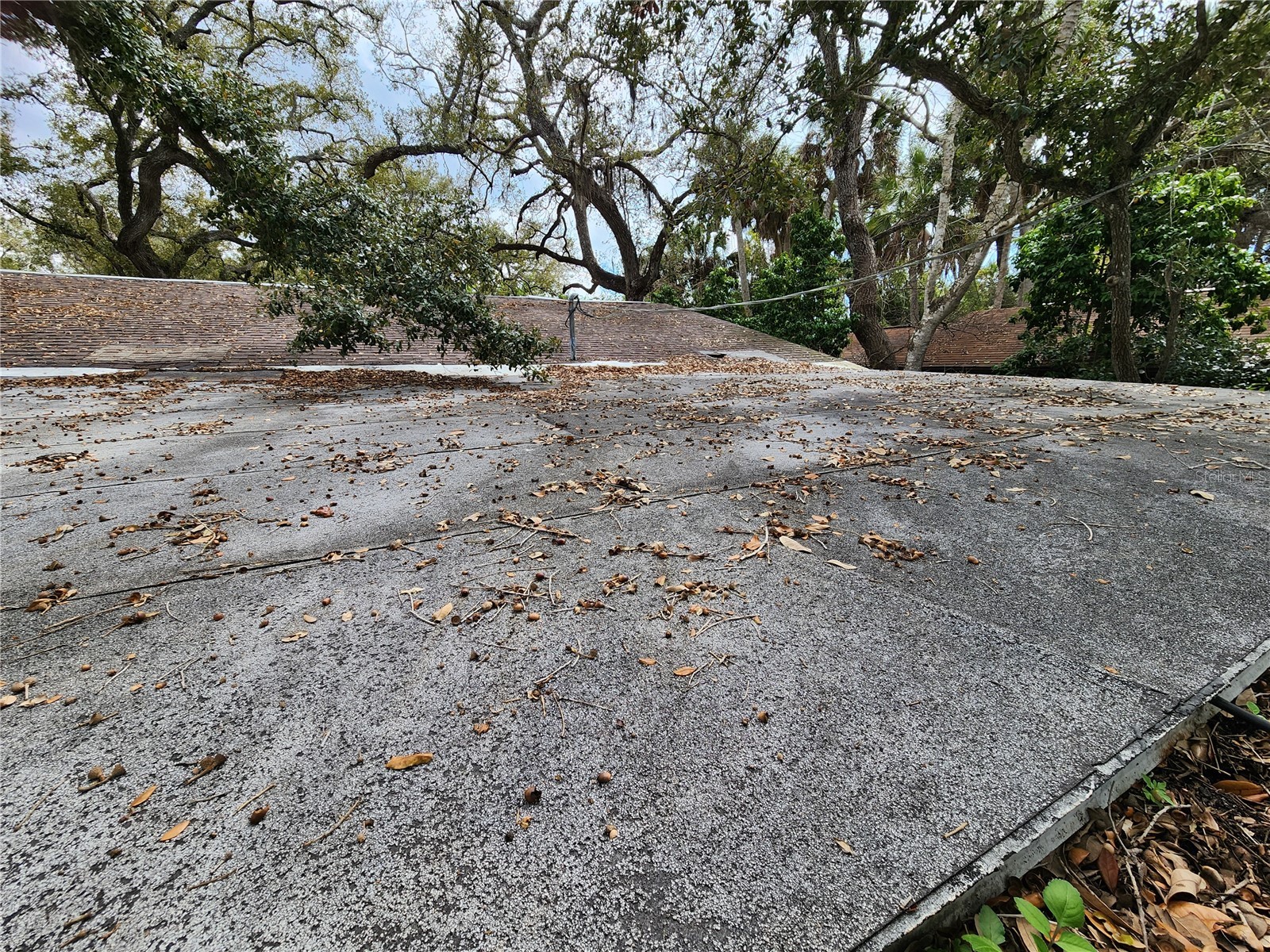 Shamrock Drive Venice FL 34293 N6144819 image22