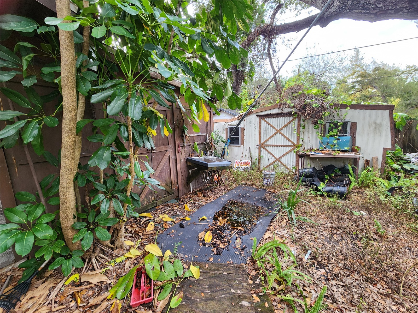 Shamrock Drive Venice FL 34293 N6144819 image37